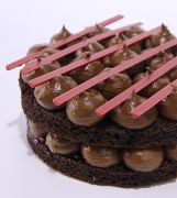 TEGRAL SATIN MOIST CHOCOLATE CAKE 10 KG