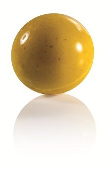 MARTELLATO MA5000 POLİCARBON ÇİKOLATA KALIBI