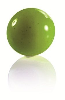 MARTELLATO MA5001 POLİCARBON ÇİKOLATA KALIBI