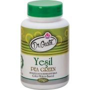 DR.GUSTO SU BAZLI TOZ BOYA 75GR YEŞİL - 79612