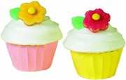 WİLTON 2105-5043 ALUMİNYUM CUPCAKE KEK KALIBI