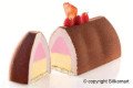 SİLİKOMART INSERT GIANDUIA SİLİKON PASTA KALIBI - 27.225