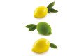 SİLİKOMART LİMONE&LİME120 SİLİKON PASTA KALIBI - 28.315