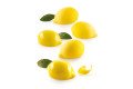 SİLİKOMART LİMONE&LİME30 SİLİKON PASTA KALIBI - 36.282