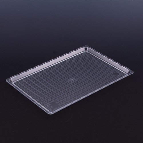 ARSİVA POLİKARBON ŞEFFAF KIRILMAZ TEŞHİR TEPSİ (NO:3) 20*30 CM