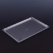 ARSİVA POLİKARBON ŞEFFAF KIRILMAZ TEŞHİR TEPSİ (NO:3) 20*30 CM