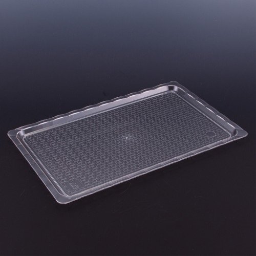 ARSİVA POLİKARBON ŞEFFAF KIRILMAZ TEŞHİR TEPSİ (NO:4) 25*40 CM