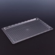 ARSİVA POLİKARBON ŞEFFAF KIRILMAZ TEŞHİR TEPSİ (NO:4) 25*40 CM