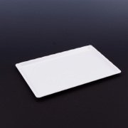 ARSİVA POLİKARBON BEYAZ KIRILMAZ TEŞHİR TEPSİ (NO:3) 20*30 CM