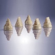 MARTELLATO MA1973 POLİCARBON ÇİKOLATA KALIBI